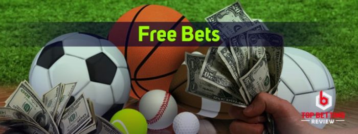 Situs Judi Bola Freebet Tanpa Deposit